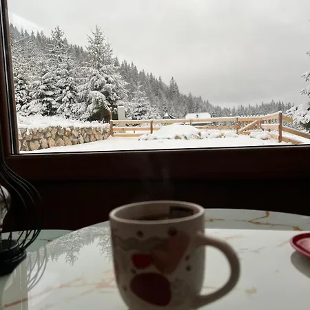 Vikendica Kraljica Planina